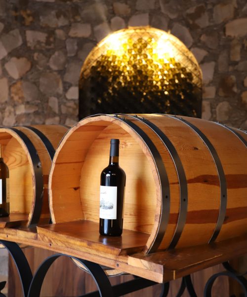 Conoce los Viñedos de San Miguel de Allende