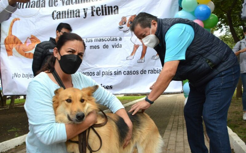 Habrá Jornada Intensiva de Vacunación Antirrábica Canina y Felina en el Estado