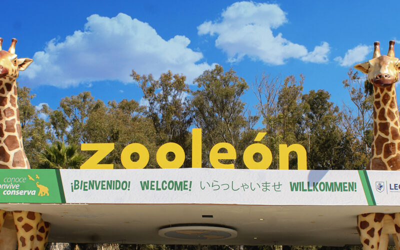 “Pásale Gratis” los fines de semana en Zoológico de León