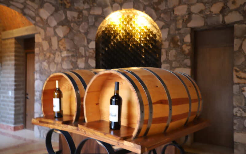 Descubre la riqueza vinícola de San Miguel de Allende