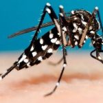 Implementan acciones estratégicas para la prevención del dengue