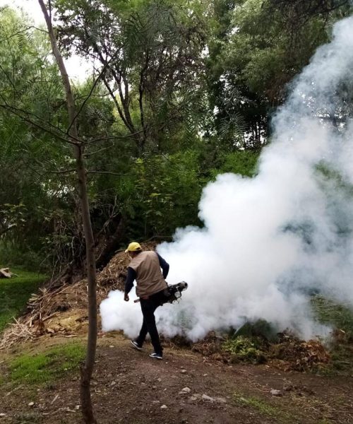 Intensifican acciones contra el dengue en San Miguel de Allende