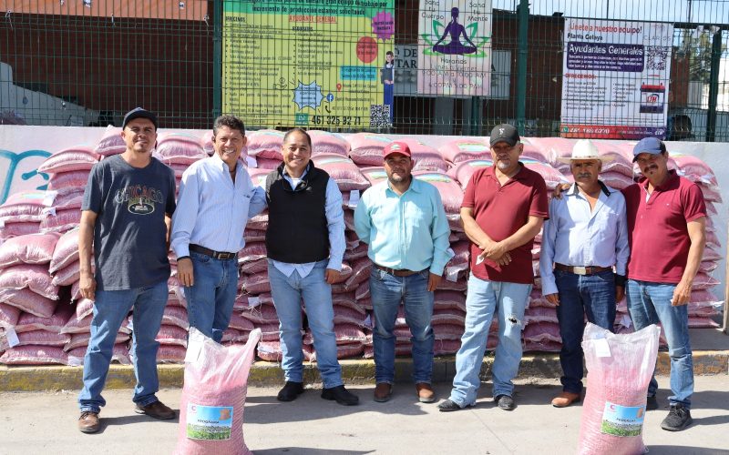 Apoyan a productores celayenses con semilla de garbanzo