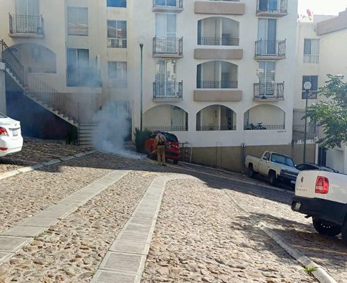 Incrementan labores para la prevención del dengue en Guanajuato Capital