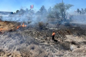 Invitan a irapuatenses a cuidar el medio ambiente