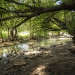 Trabajan en la conservación y protección de Áreas Naturales Protegidas en Guanajuato