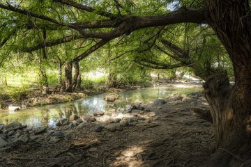 Trabajan en la conservación y protección de Áreas Naturales Protegidas en Guanajuato