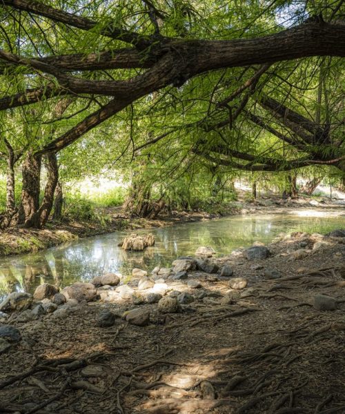 Trabajan en la conservación y protección de Áreas Naturales Protegidas en Guanajuato
