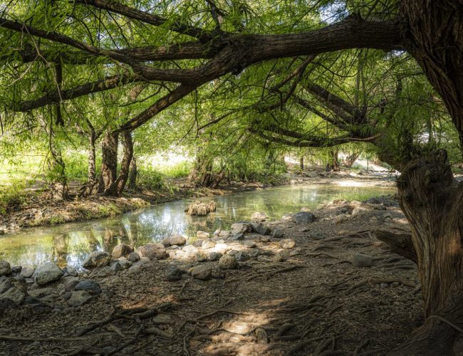 Trabajan en la conservación y protección de Áreas Naturales Protegidas en Guanajuato