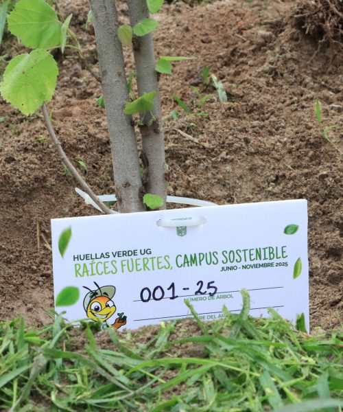 Promueven la generación de espacios verdes a través de Huellas Verdes UG