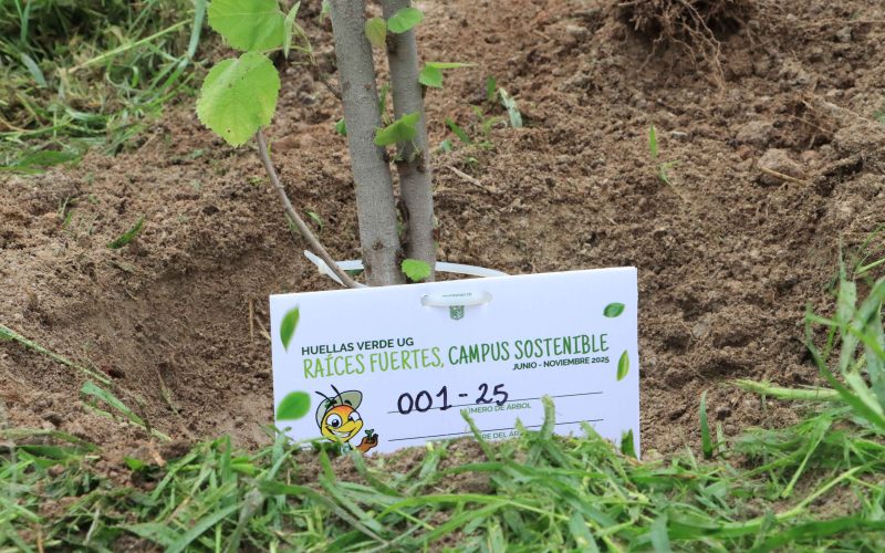 Promueven la generación de espacios verdes a través de Huellas Verdes UG