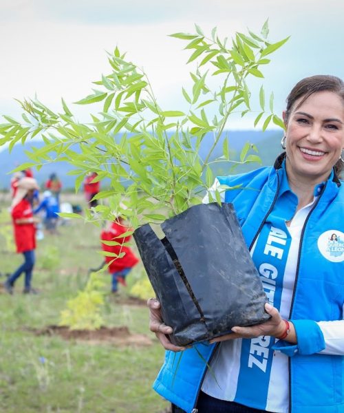 Planta un Árbol, Dale Vida a León