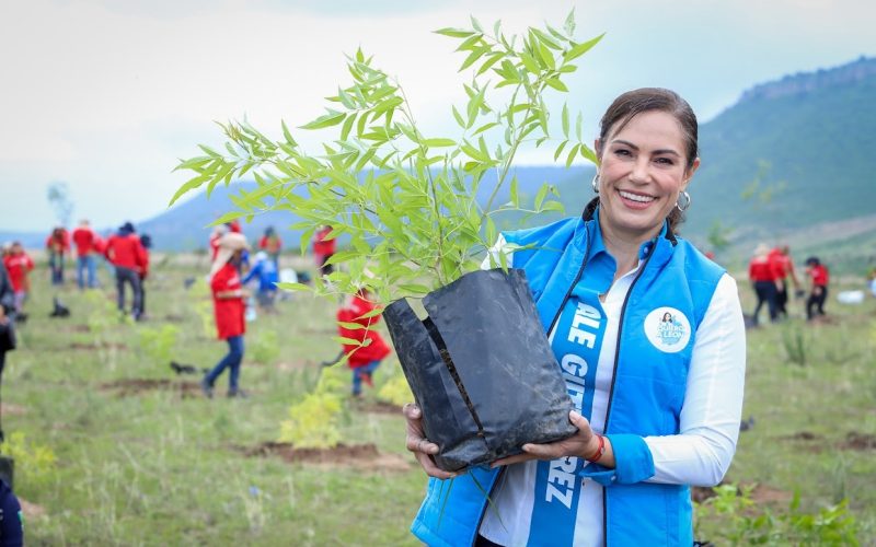 Planta un Árbol, Dale Vida a León