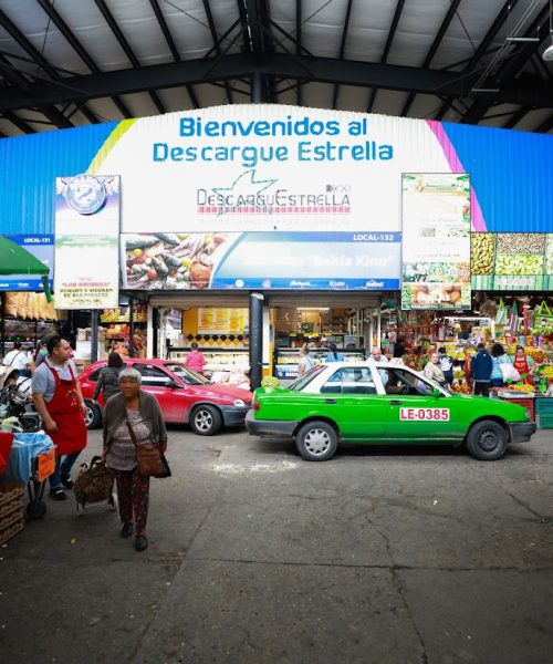 Renace Avenida Miguel Alemán en León