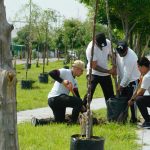 Gobierno de Salamanca y ciudadanía unen esfuerzos por una ciudad más verde