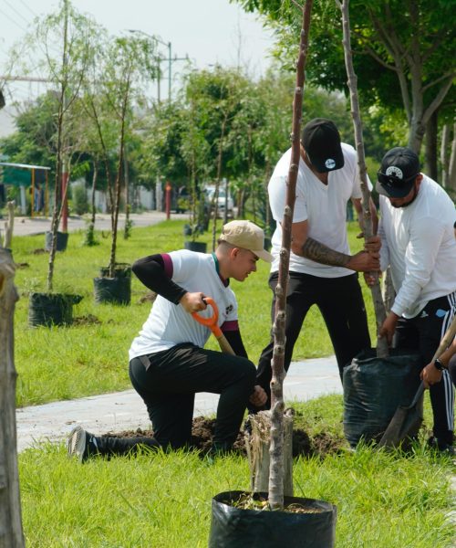 Gobierno de Salamanca y ciudadanía unen esfuerzos por una ciudad más verde