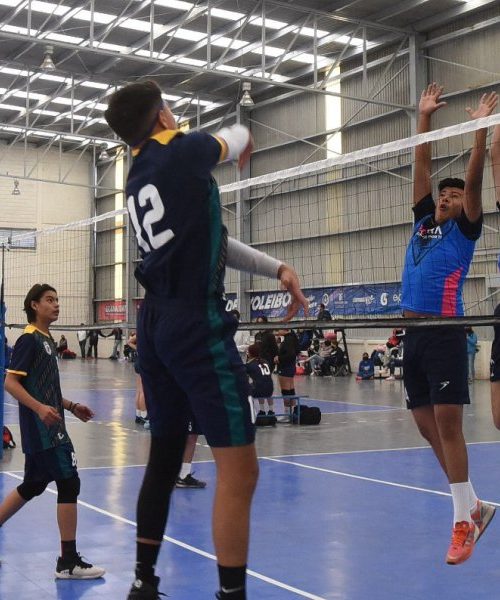 Irapuato sede de XVIII copa panamericana de voleibol masculino sénior