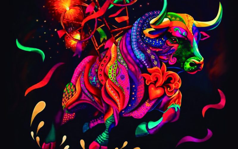 El Festival de Cultura Brava Marquesada 2025, un viaje a la esencia de Salvatierra