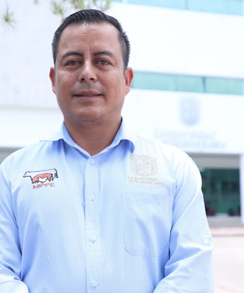 Investigador UG lidera proyecto sobre ecotoxicidad de antibióticos veterinarios en polinizadores y ecosistemas