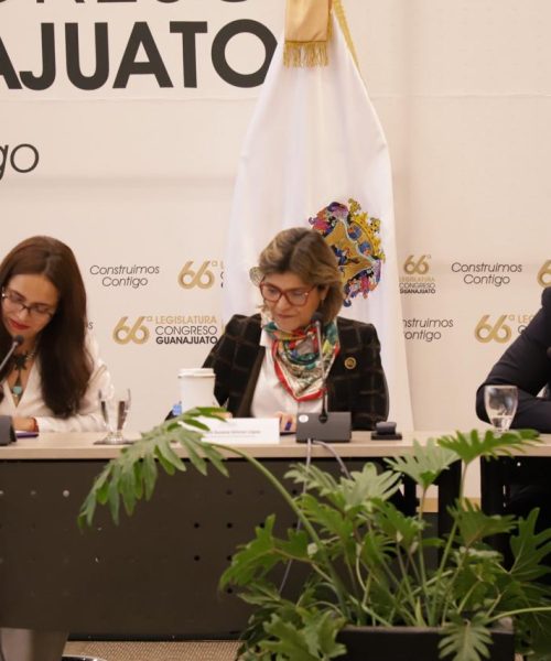 Suman esfuerzos para realizar el Parlamento de las Juventudes Guanajuatenses 2025