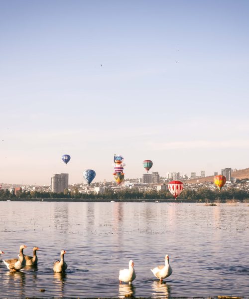 El cielo se llena de colores con el Festival Internacional del Globo en León