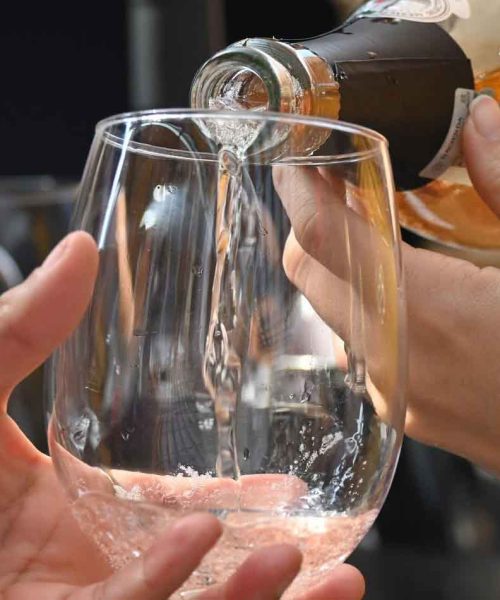 Guanajuato uno de los Estados más premiados de México con 36 medallas