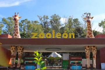 Zoológico de León una alternativa para disfrutar en familia esta temporada vacacional