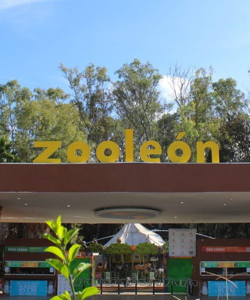 Zoológico de León una alternativa para disfrutar en familia esta temporada vacacional