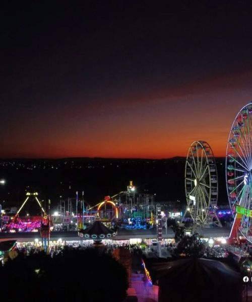Conoce como está programado el transporte gratuito a la Feria de León