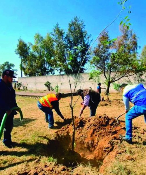 Sembrar árboles es sembrar agua y vida en la casa hogar para adultos mayores en Silao
