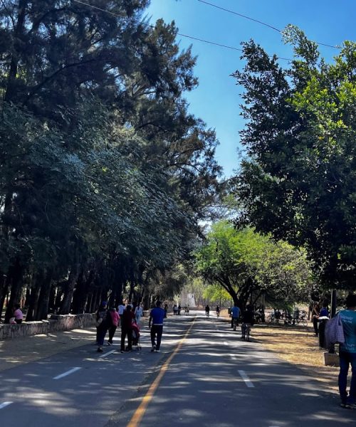 El Parque Metropolitano de León garantiza acceso gratuito a adultos mayores