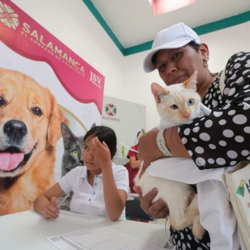 En Salamanca refuerzan compromiso con la protección de mascotas y el bienestar comunitario