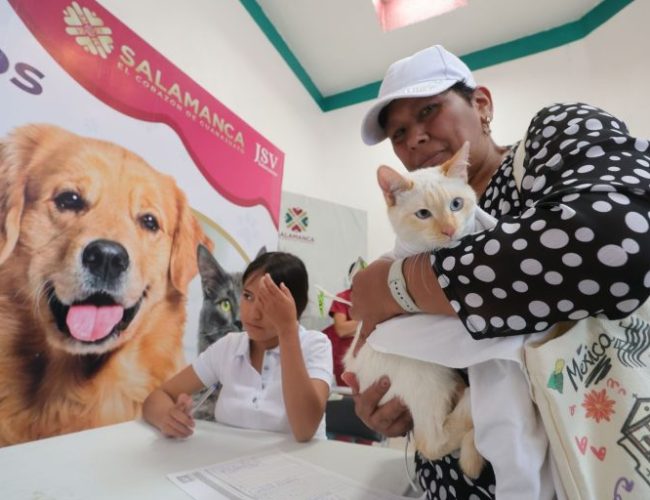En Salamanca refuerzan compromiso con la protección de mascotas y el bienestar comunitario