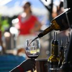 Gobierno del Estado cuenta con el 6% de la superficie vitivinícola nacional