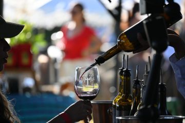 Gobierno del Estado cuenta con el 6% de la superficie vitivinícola nacional