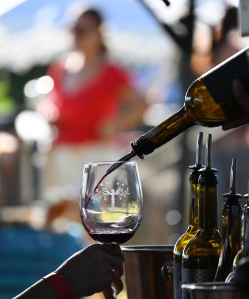 Gobierno del Estado cuenta con el 6% de la superficie vitivinícola nacional