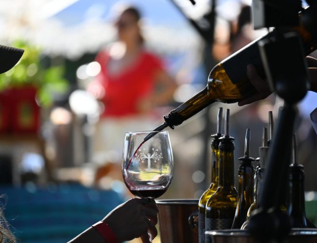 Gobierno del Estado cuenta con el 6% de la superficie vitivinícola nacional