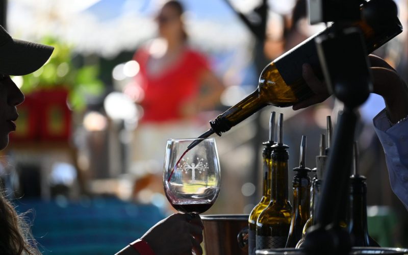 Gobierno del Estado cuenta con el 6% de la superficie vitivinícola nacional