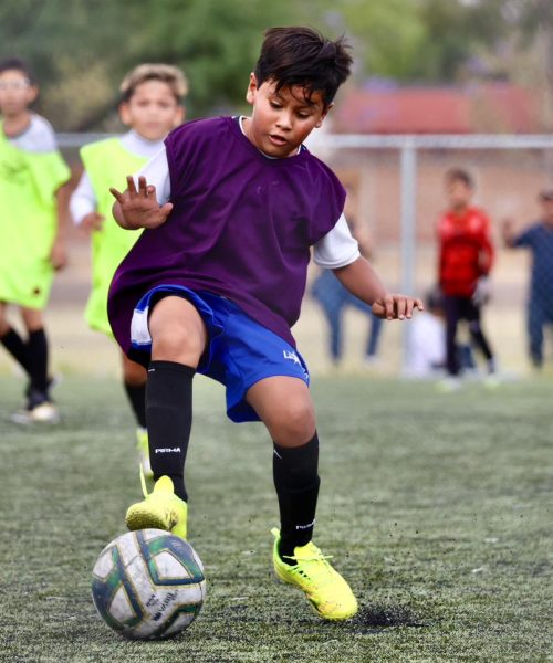 Más de 4 mil jóvenes buscan ser parte de la Fiera