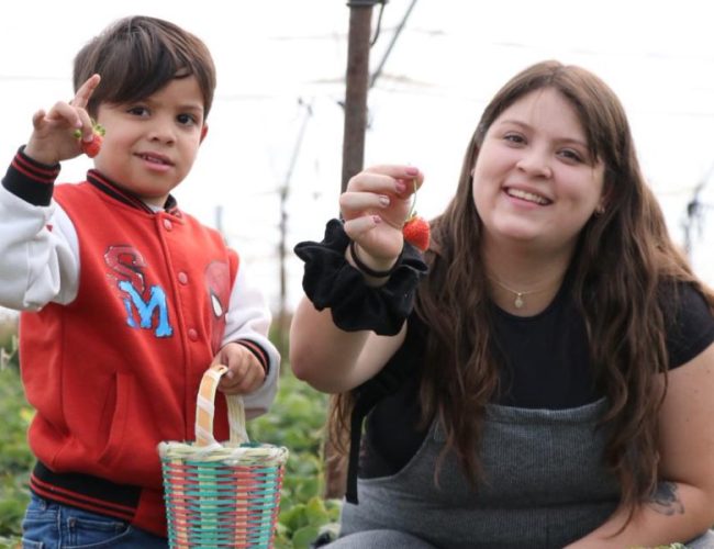 Irapuato participará en edición 50 del tianguis turístico