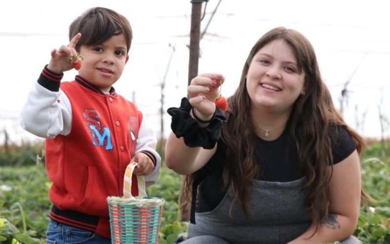 Irapuato participará en edición 50 del tianguis turístico