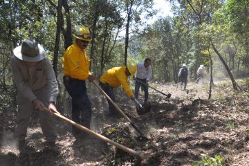 Fortalecen la prevención de incendios forestales