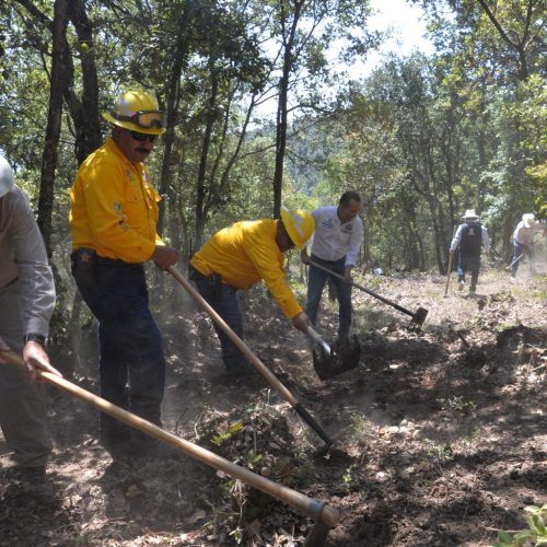 Fortalecen la prevención de incendios forestales