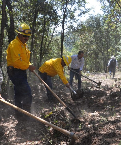 Fortalecen la prevención de incendios forestales