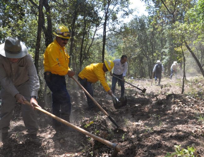 Fortalecen la prevención de incendios forestales