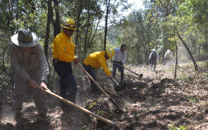 Fortalecen la prevención de incendios forestales