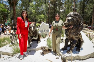 El ZooLeón vive una de las transformaciones más importantes de su vida