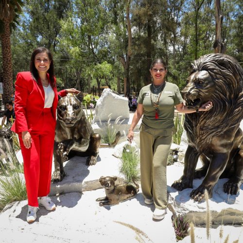 El ZooLeón vive una de las transformaciones más importantes de su vida
