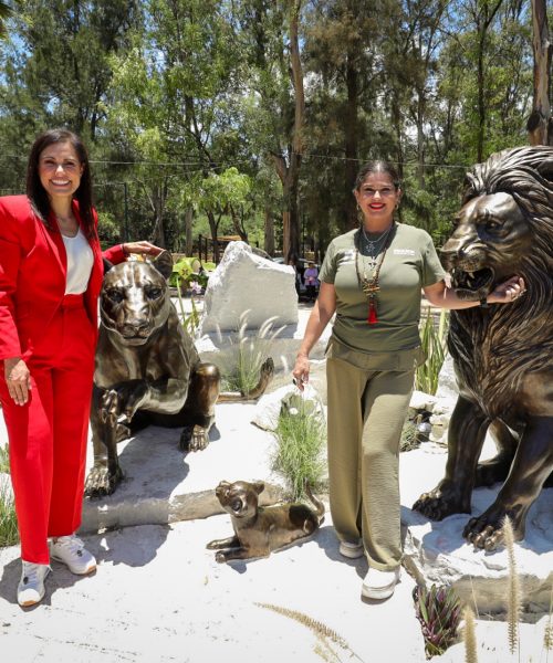 El ZooLeón vive una de las transformaciones más importantes de su vida