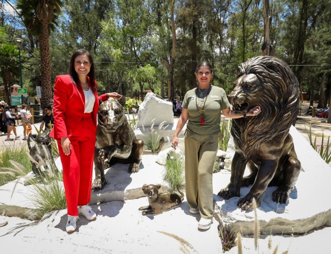 El ZooLeón vive una de las transformaciones más importantes de su vida